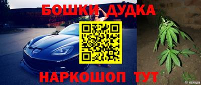 твердый Сланцы