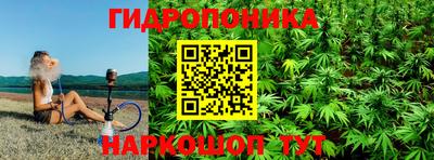 твердый Сланцы