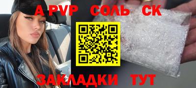 твердый Сланцы